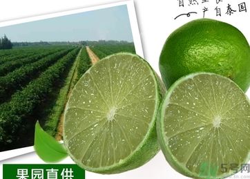 泰國檸檬怎么吃？泰國檸檬的功效作用