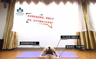 廣州市哪里學(xué)瑜珈比較好！