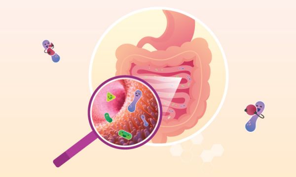 A_balanced_and_thriving_gut_microbiome_is_essential_for_overall_health.jpg