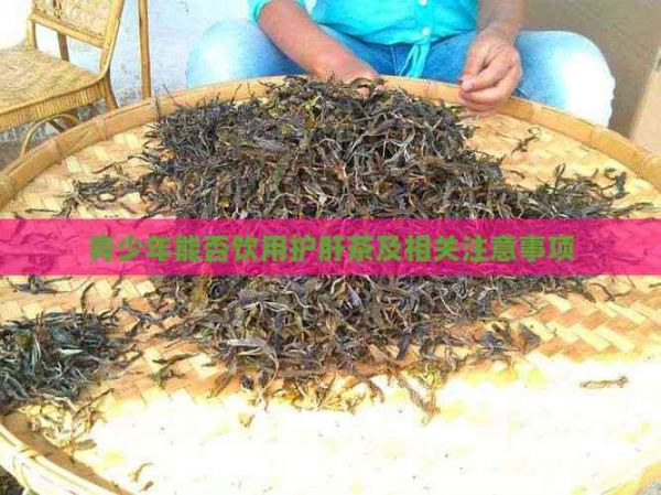 青少年能否飲用護(hù)肝茶及相關(guān)注意事項(xiàng)