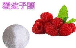 覆盆子酮膠囊主要成分是什么