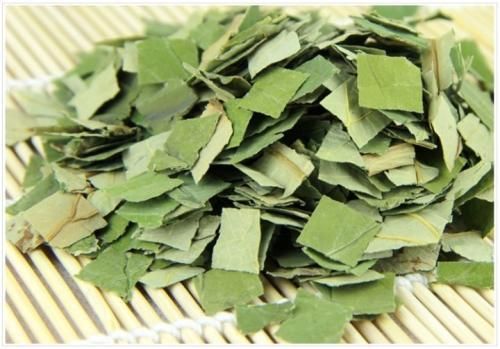 中醫(yī)藥膳：荷葉