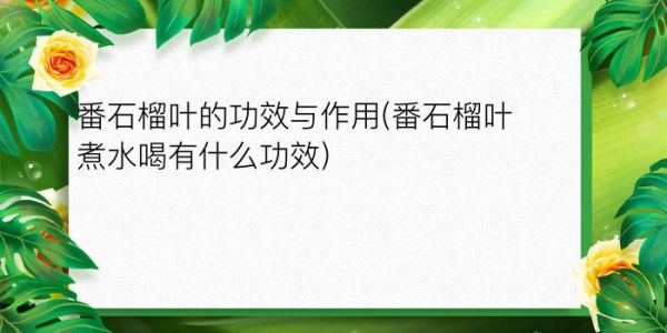 番石榴葉的功效與作用(番石榴葉煮水喝有什么功效)
