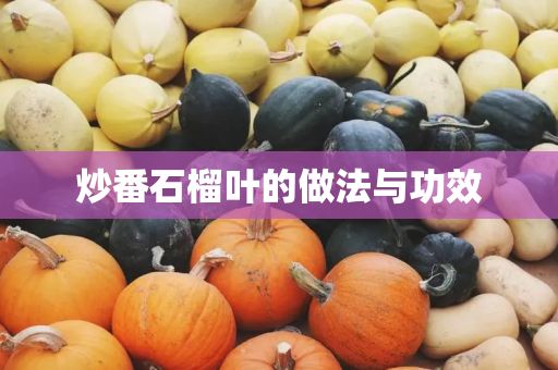 炒番石榴葉的做法與功效