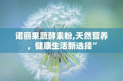 諾麗果蔬酵素粉,天然營(yíng)養(yǎng)，健康生活新選擇”
