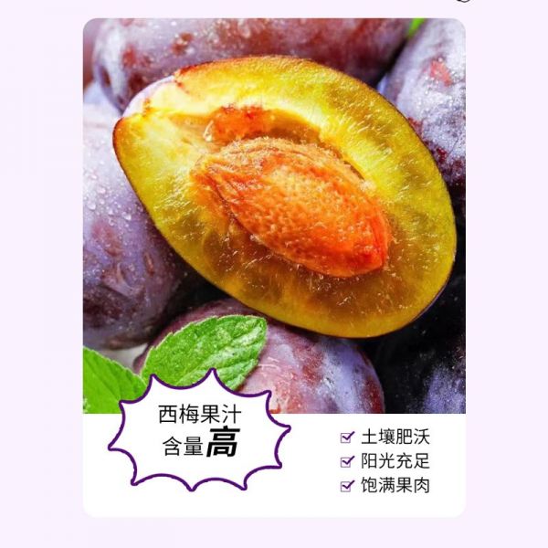 益生元西梅纖維果飲OEM代加工廠家貼牌草本果蔬植物飲料代工
