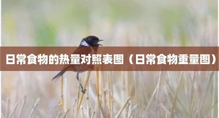 日常食物的熱量對(duì)照表圖（日常食物重量圖）