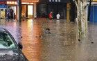 武漢發(fā)布暴雨臨災(zāi)警報！武大校門被淹一米深