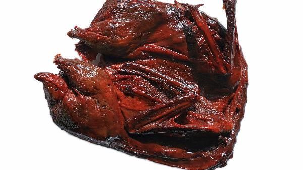 肌肉比脂肪重吗