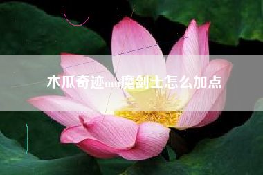 木瓜奇跡mu魔劍士怎么加點(diǎn)