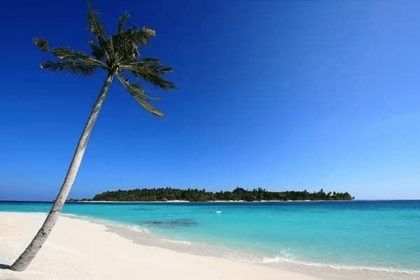 減肥膠囊怎么買(mǎi)？，減肥膠囊怎么買(mǎi)不到了