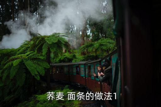  荞麦 面条的做法1