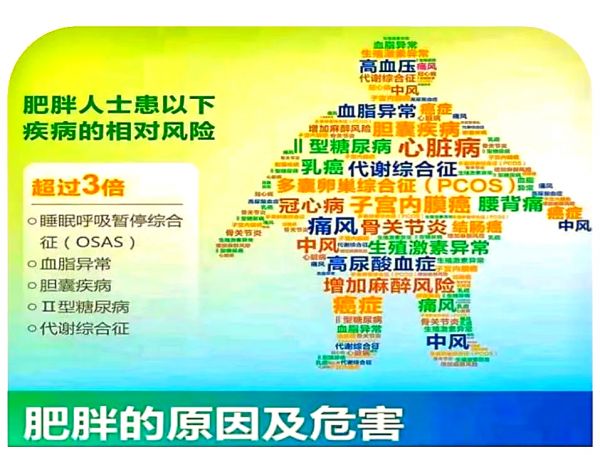 圖片1