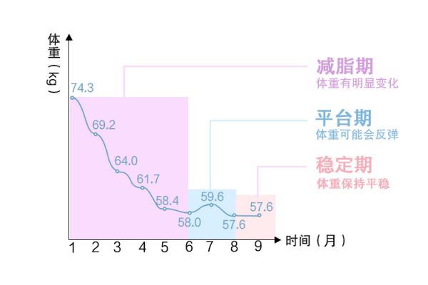 減肥曲線圖