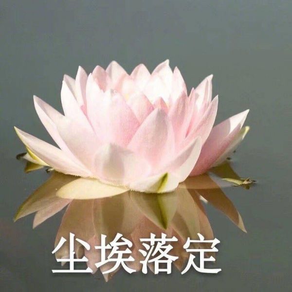 姜美仲