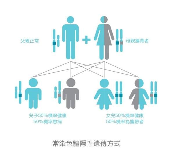 單基因遺傳病,單基因遺傳病類型,常染色體隱性遺傳