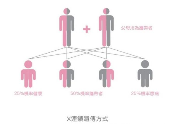 單基因遺傳病,單基因遺傳病類型,X連鎖遺傳病