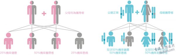 父母都健康，為什么孩子卻有遺傳?。?><br>● 如果夫妻雙方都查出攜帶相同的致病基因，有1/4的幾率會(huì)生下遺傳病患兒。<br>● 如果查出女方為X連鎖遺傳病的攜帶者，則兒子有1/2的概率是患病兒。</p><p>攜帶者篩查就是對(duì)看似健康但攜帶有隱性致病基因的父母進(jìn)行檢查。</p><p>如果查出以上情況，則需進(jìn)行產(chǎn)前診斷或者胚胎植入前診斷等措施可有效降低后代患病的風(fēng)險(xiǎn)。</p><p>因此，通過(guò)孕前的隱性遺傳病攜帶篩查來(lái)獲知攜帶的致病變異，明確生育風(fēng)險(xiǎn)并采取相應(yīng)合理的干預(yù)措施，是保障生育健康、提高出生人口素質(zhì)的重要手段之一。</p><p><strong>如想了解更多關(guān)于遺傳性基因檢測(cè)，可咨詢(xún)香港卓信醫(yī)療的網(wǎng)站客服！</strong></p><p style=