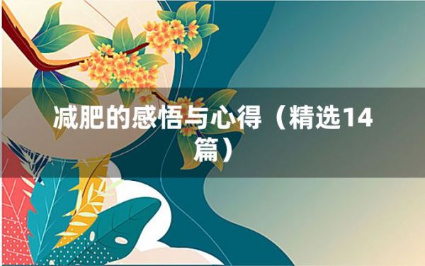 減肥的感悟與心得（精選14篇）