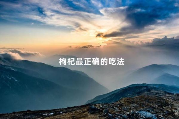 枸杞最正確的吃法