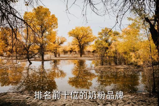 排名前十位的奶粉品牌