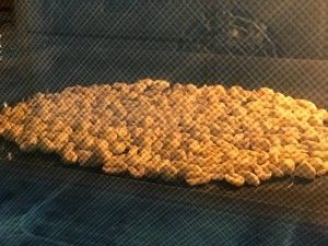 健康花生酱-无油无糖无盐的做法步骤 第1步