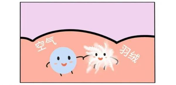 羽絨