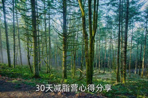 30天減脂營(yíng)心得分享