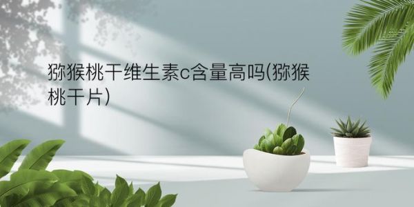 獼猴桃干維生素c含量高嗎(獼猴桃干片)