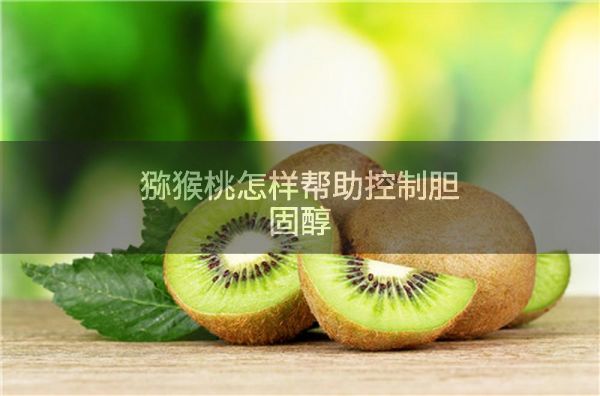 獼猴桃怎樣幫助控制膽固醇