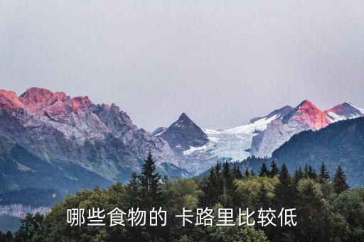 哪些食物的 卡路里比較低
