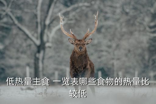 低熱量主食 一覽表哪些食物的熱量比較低