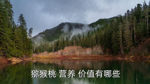  獼猴桃 營(yíng)養(yǎng) 價(jià)值有哪些