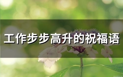 工作步步高升的祝福語(74句)