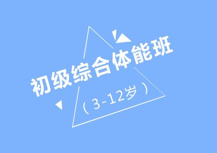北京北京初級(jí)綜合體能班(3-12歲)