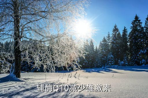 輔酶Q10減少雄激素