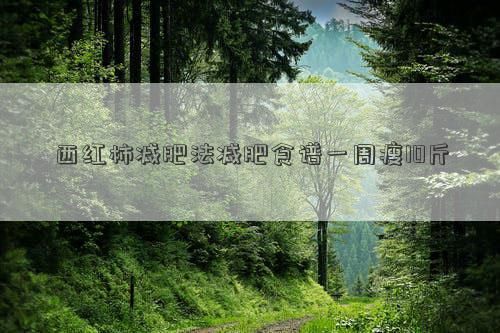 西紅柿減肥法減肥食譜一周瘦10斤