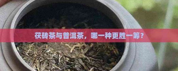 茯磚茶與普洱茶，哪一種更勝一籌？
