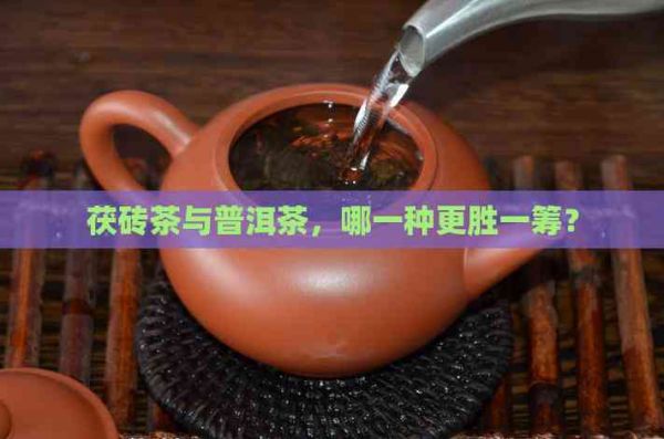 茯磚茶與普洱茶，哪一種更勝一籌？