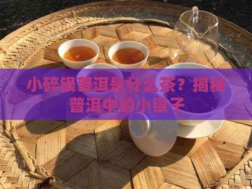 小碎銀普洱是什么茶？揭秘普洱中的小銀子