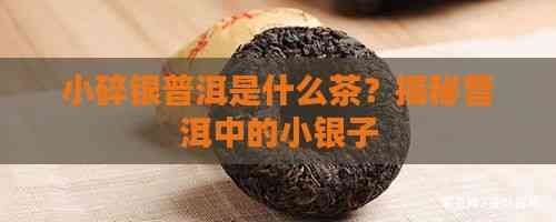 小碎銀普洱是什么茶？揭秘普洱中的小銀子