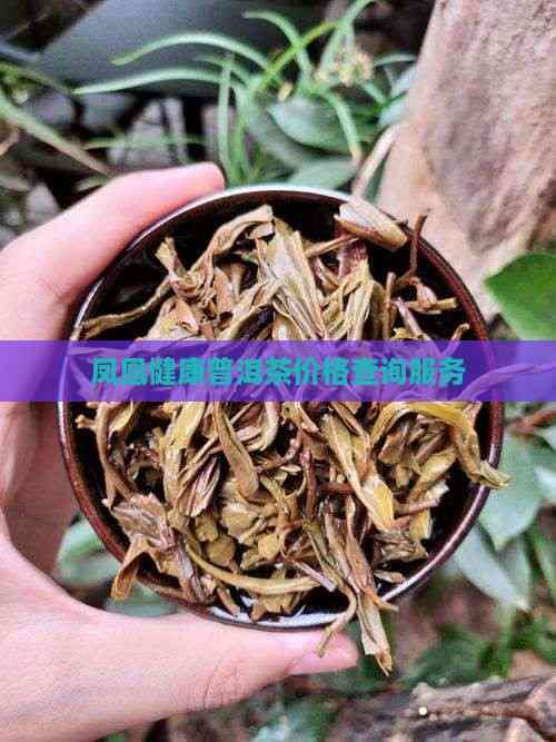 鳳凰健康普洱茶價(jià)格查詢服務(wù)
