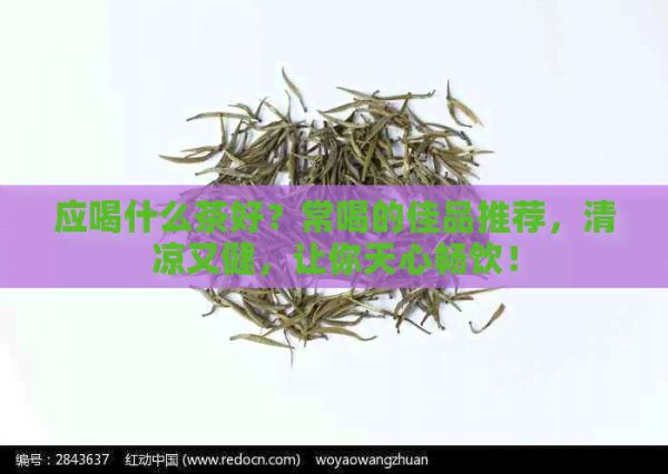 應(yīng)喝什么茶好？常喝的佳品推薦，清涼又健，讓你天心暢飲！