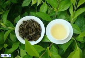 最健茶葉排行榜：揭秘十大茶葉中的佼佼者！