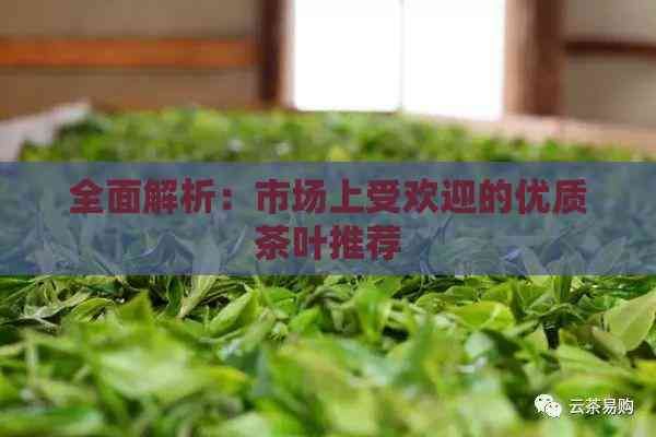 全面解析：市場上受歡迎的優(yōu)質(zhì)茶葉推薦