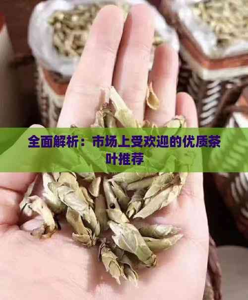 全面解析：市場上受歡迎的優(yōu)質(zhì)茶葉推薦