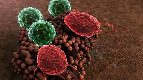 腎上有囊腫怎么回事 腎上有囊腫的常見原因介紹