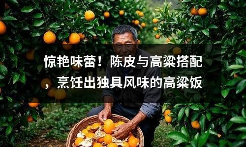 驚艷味蕾！陳皮與高粱搭配，烹飪出獨(dú)具風(fēng)味的高粱飯