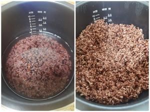 ??飽腹主食?糙米飯日常雜糧大米飯的做法 步驟2