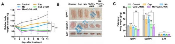 光熱-藥物療法Mir+CuS+NIR減肥效果顯著